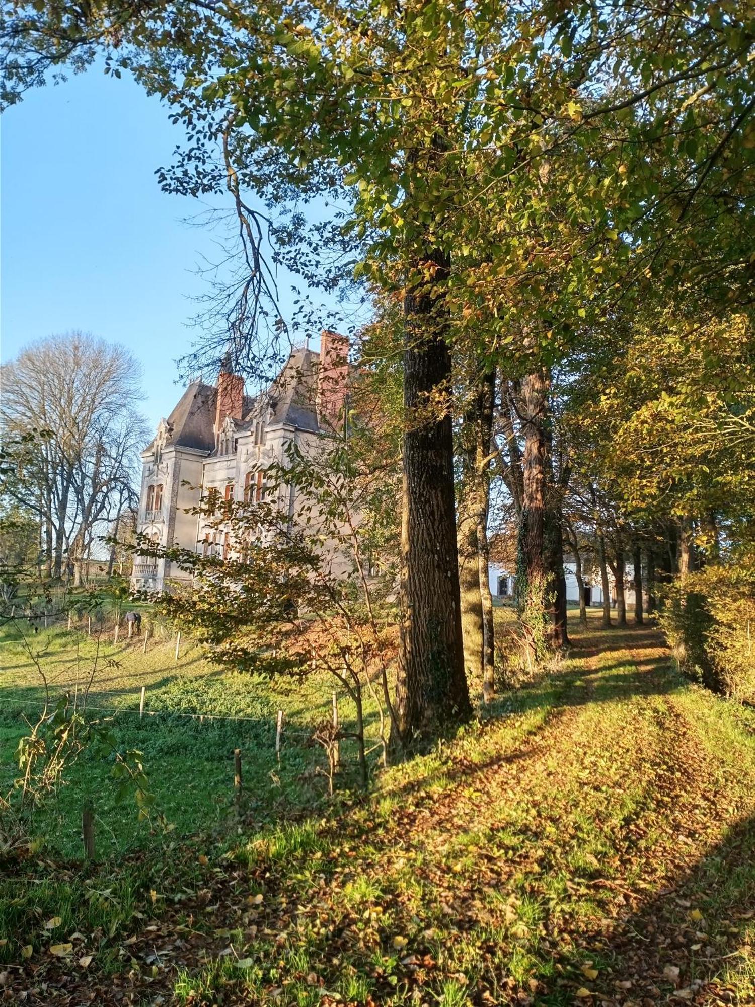 Le Chateau Du Grand Coudray Bed and Breakfast Villaines-la-Juhel Buitenkant foto