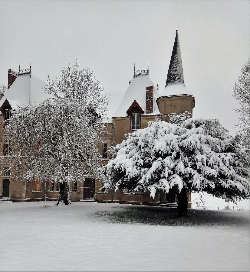 Le Chateau Du Grand Coudray Bed and Breakfast Villaines-la-Juhel Buitenkant foto