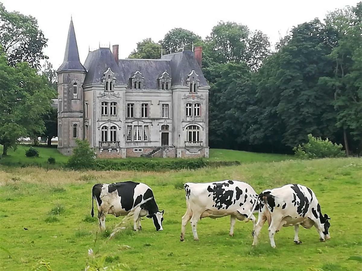 Le Chateau Du Grand Coudray Villaines-la-Juhel Buitenkant foto