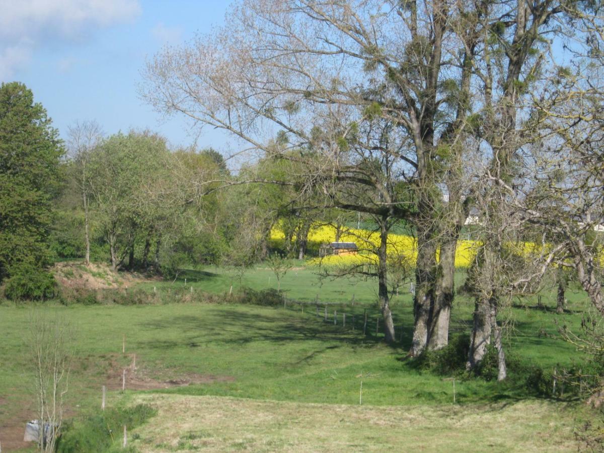 Le Chateau Du Grand Coudray Bed and Breakfast Villaines-la-Juhel Buitenkant foto