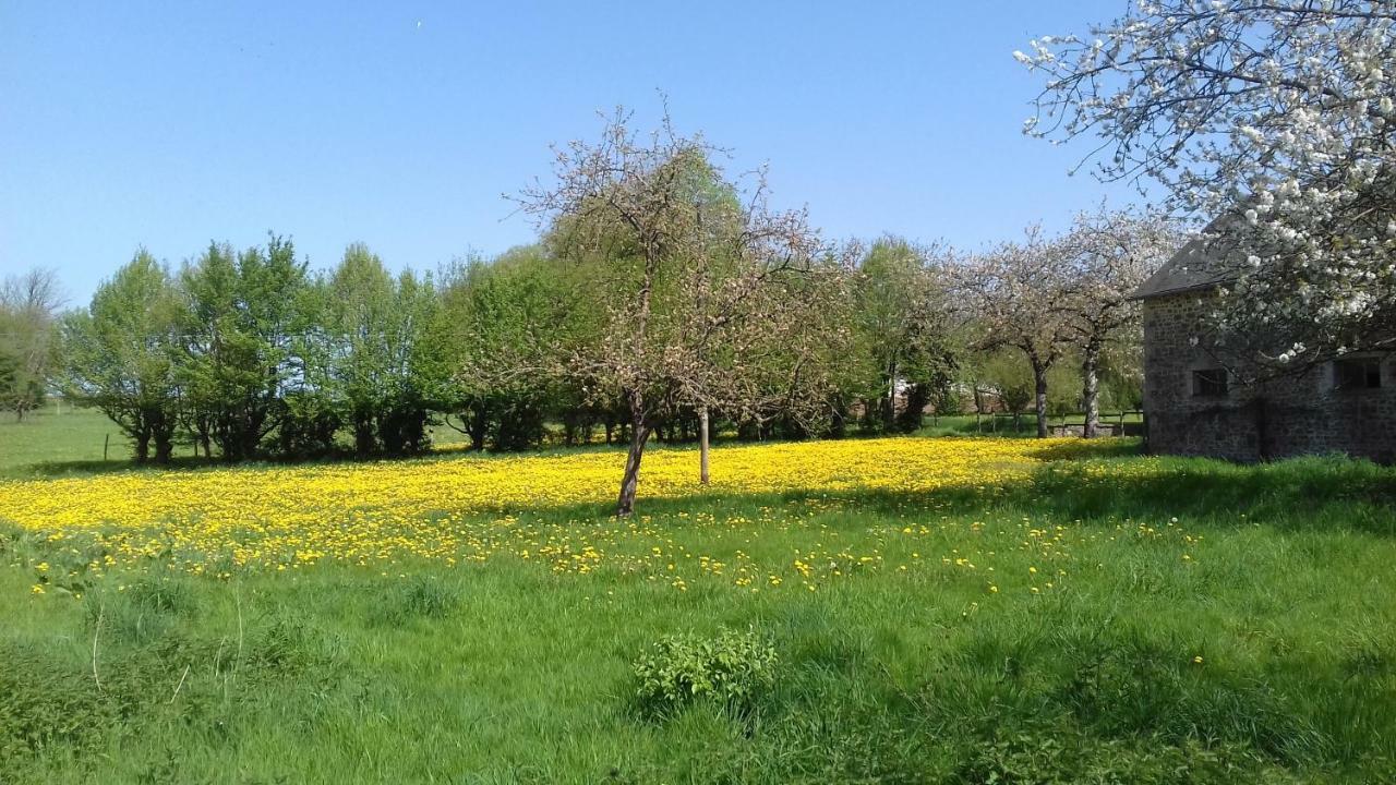 Le Chateau Du Grand Coudray Bed and Breakfast Villaines-la-Juhel Buitenkant foto